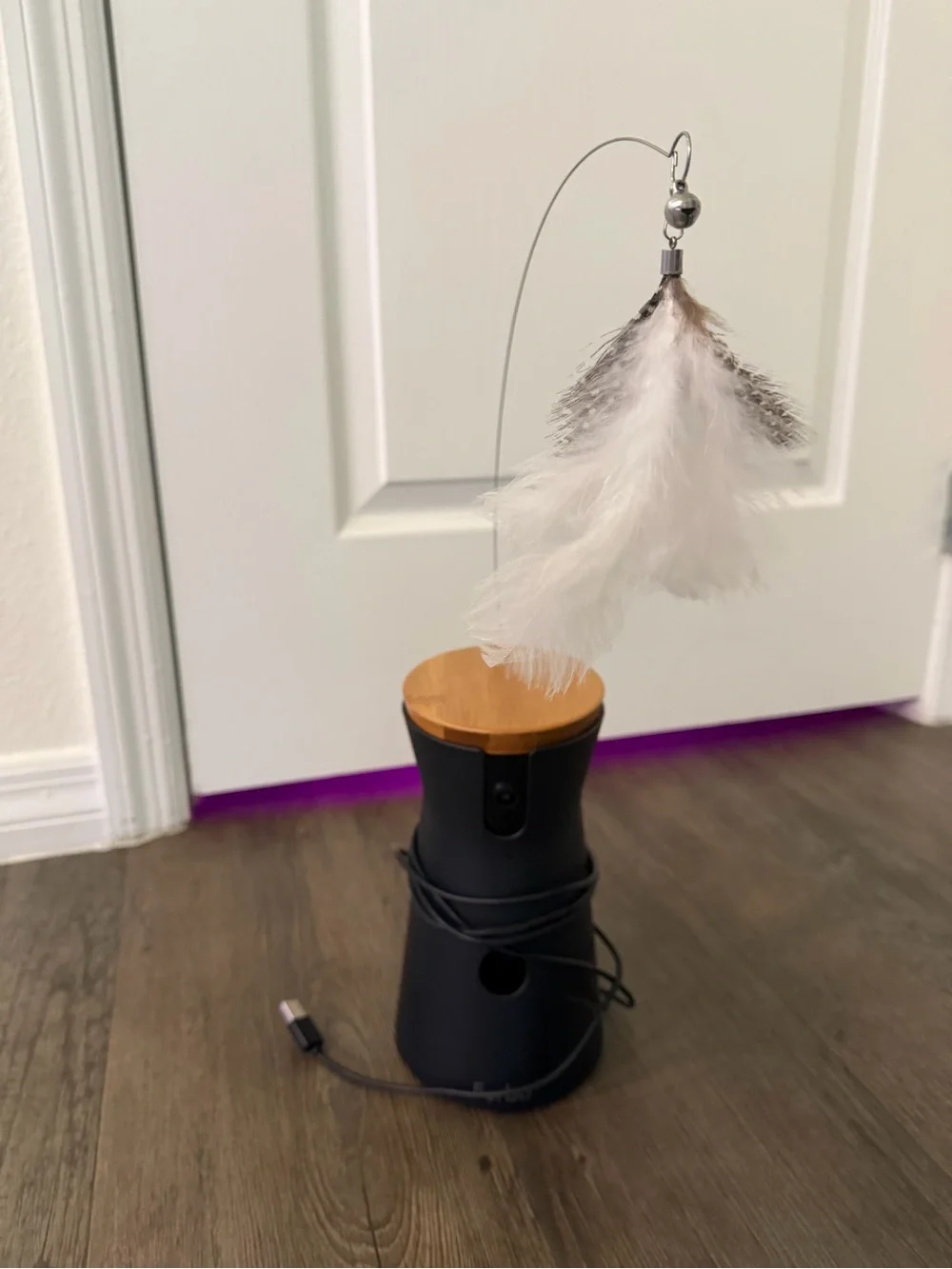 Furbo Cat Camera in Black - Like New 360 camera, throws treats